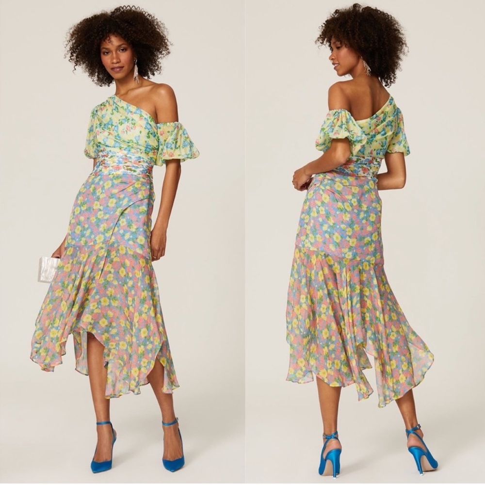 AMUR Jaylah Dress in Multi Anemone Floral Size 10